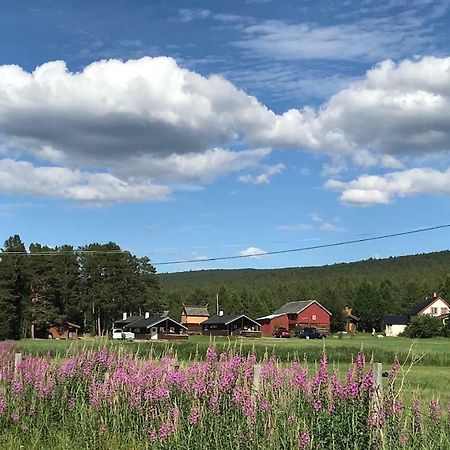 Roste Hyttetun Og Camping Os (Hedmark) Exterior foto